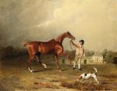 MARSHALL Brent 1957,Charles Arnott's Chestnut Hunter Held by a Groom i,Christie's GB 1999-12-01