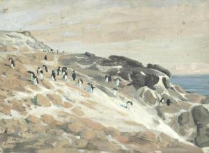 MARSTON George Edward 1882-1940,Antarctic penguins,1908,Bonhams GB 2018-02-07