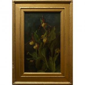 MARTIN emma may 1865-1956,MOCCASIN FLOWER,Waddington's CA 2021-03-04