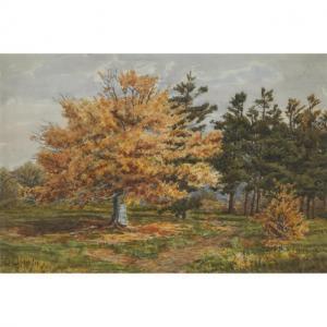 MARTIN emma may 1865-1956,TREES IN AUTUMN,Waddington's CA 2022-03-10