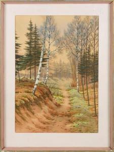 MARTIN F.,Lichter Wald,Wendl DE 2020-06-25