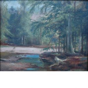 MARTIN Homer Dodge 1836-1897,Wooded Landscape,William Doyle US 2011-04-05
