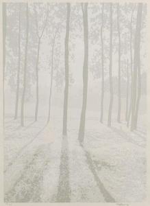 MARTIN Ian 1945,Sunlight Thru the Trees,2013,Lando Art Auction CA 2013-02-24