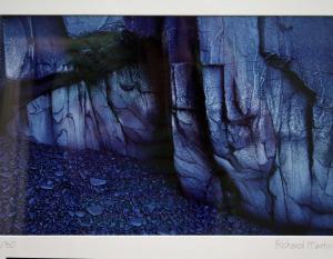 MARTIN RICHARD,South Shore, Brier Island,Mealy's IE 2014-07-15