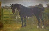 MARTIN S,Portrait of a Horse,,1867,Skinner US 2007-08-13