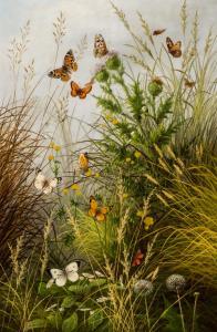 MARTINEAU Emile 1800-1900,Butterflies,Shannon's US 2016-01-14
