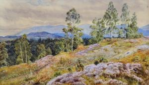 MARTINEAU GERTRUDE 1840-1924,A Mountainous Landscape,John Nicholson GB 2019-10-02