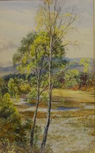 MARTINEAU Gertrude 1862-1911,Springtime near Aviemore,1896,David Duggleby Limited GB 2018-10-20