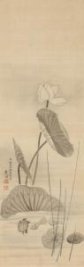 MARUYAMA OKYO 1733-1795,Turtle with white lotus,1783,Mainichi Auction JP 2023-07-29