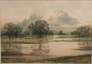 MARY WILLIAMS,Flooded Meadow,Bonhams GB 2009-01-30