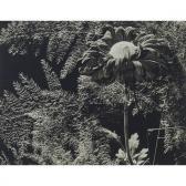 MARYNOWICZ Wladyslaw 1920-1977,UNTITLED (FLORA WITH CEDARS),Waddington's CA 2017-03-04