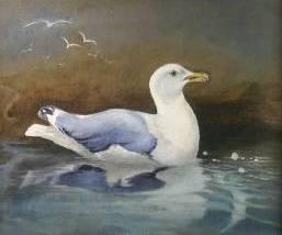 MASSEY EDITH,study of a seagull,Rogers Jones & Co GB 2009-04-25