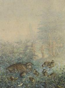 MASSON Frédéric 1800-1900,Perdrix et ses petits dans un paysage,Daguerre FR 2021-11-23
