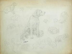 MASSON Frédéric 1800-1900,Studies of terriers and retrievers,Cheffins GB 2016-06-15