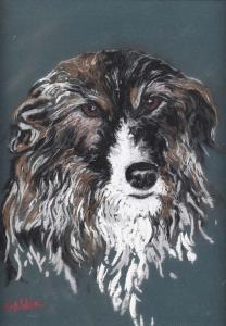 MATEER Sam 1951-2010,STUDY OF A COLLIE DOG,Ross's Auctioneers and values IE 2023-07-19