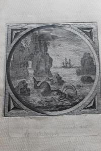 MATHAM Adriaen 1599-1660,Sea Monster,Cuttlestones GB 2016-09-09