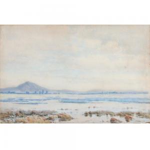 MATHER John Robert 1848-1916,Swamp Philip Island,Ripley Auctions US 2023-07-01
