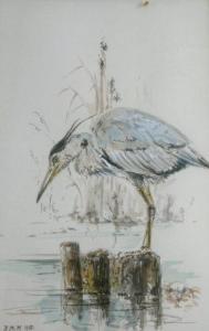MATHER Richard 1900-1900,A grey heron,Serrell Philip GB 2009-09-17