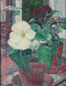 MATHERS M A,Begonia in a Pot,Simon Chorley Art & Antiques GB 2016-05-24