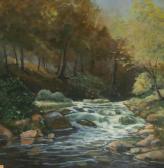 MATHEWS JAMES 1964,"The Shimna River Tollymore,Mealy's IE 2010-10-12