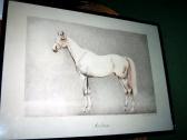 MATTINSON Donald 1900-1900,Equestrian Study of Airborne,1949,Rowley Fine Art Auctioneers 2007-11-20