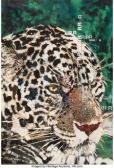 MAURER Sidney Randolph 1926-2017,Leopard,Heritage US 2022-07-14