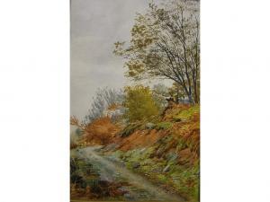 maxwell,An autumnal landscape with bracken and stony path,Andrew Smith and Son GB 2009-02-24