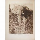 MAXWELL MARIUS,Stalking Big Game with a Camera in Equatorial Africa,2011,William Doyle US 2014-04-09