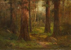 MAY WATSON Lizzie,Forest Interior,Abell A.N. US 2023-01-19