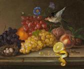MAYRHOFER Johann Nepomuk 1764-1832,Still life with fruits and a bird,Van Ham DE 2016-11-18