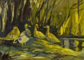 Mc Assey Tom 1900-1900,Ducks, Herbert Park,1964,Adams IE 2006-10-11