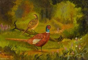 Mc Assey Tom 1900-1900,PHEASANTS,,1985,Whyte's IE 2023-07-10