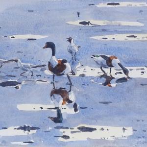Mc CALLUM James 1970,geese and gulls at the shore,Burstow and Hewett GB 2019-05-22