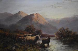 MC GREGOR G,Highland cattle in a Scottish landscape,Andrew Smith and Son GB 2018-10-30