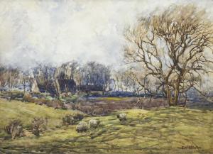 McALLISTER F 1910-1946,SHEEP GRAZING IN WOODLAND,McTear's GB 2019-10-27