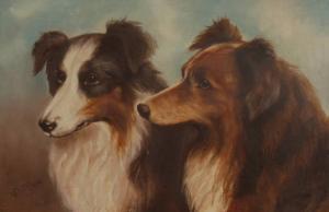 MCBEAN V,Portrait of 2 Collie dogs,Burstow and Hewett GB 2009-04-29