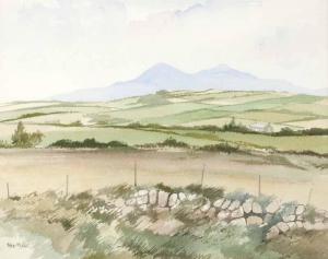MCCANN Peter,TOWARDS THE MOURNES,Ross's Auctioneers and values IE 2013-04-03