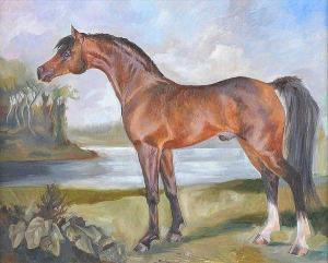 MCCAUGHEY Ann Marie,STUDY OF A HORSE,Ross's Auctioneers and values IE 2016-10-05