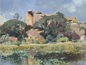 MCCAW Terence John 1913-1978,Waterway with Boulders and Euphorbia,1955,Strauss Co. ZA 2023-11-27