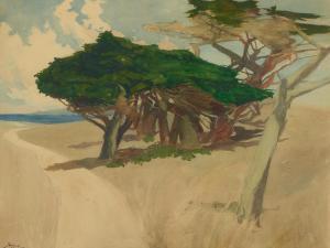 McCOMAS Francis John 1875-1938,Monterey Cypress,1899,Bonhams GB 2023-04-25
