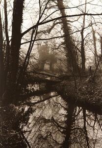 McCULLIN Donald 1935,Untitled (Pond in Woods),Bonhams GB 2010-11-15