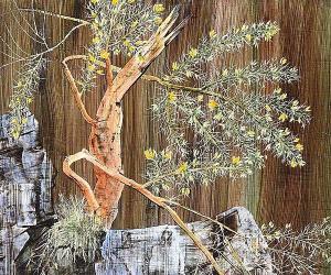 MCCULLY Robin,TREE STUDY BY THE ROCKS,Ross's Auctioneers and values IE 2019-06-12