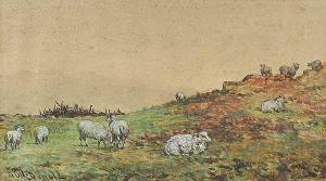 McDonald JB 1800-1800,SHEEP GRAZING,Ross's Auctioneers and values IE 2016-04-20