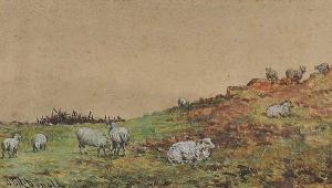 McDonald JB 1800-1800,SHEEP GRAZING,Ross's Auctioneers and values IE 2016-09-07