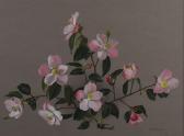 MCEWEN Elizabeth,STILL LIFE, CAMELLIA,Ross's Auctioneers and values IE 2021-08-18
