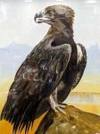 McGARRY Pip 1955,Roosting Eagle,1982,Cheffins GB 2024-01-11