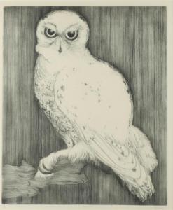 MCGINNIS Christine 1900-1900,SNOWY OWL,Sloans & Kenyon US 2015-07-24