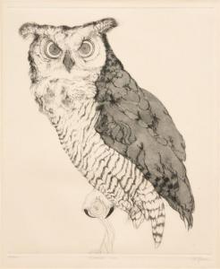 MCGINNIS D,Horned Owl,Hindman US 2011-11-06