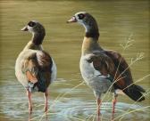 MCGUIRE Jan Martin 1955,Pair of Egyptian Geese in Water,Simpson Galleries US 2022-02-12