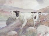 MCINTYRE R.W 1900-1900,Gun dogs in the highlands,1940,Fellows & Sons GB 2017-02-27
